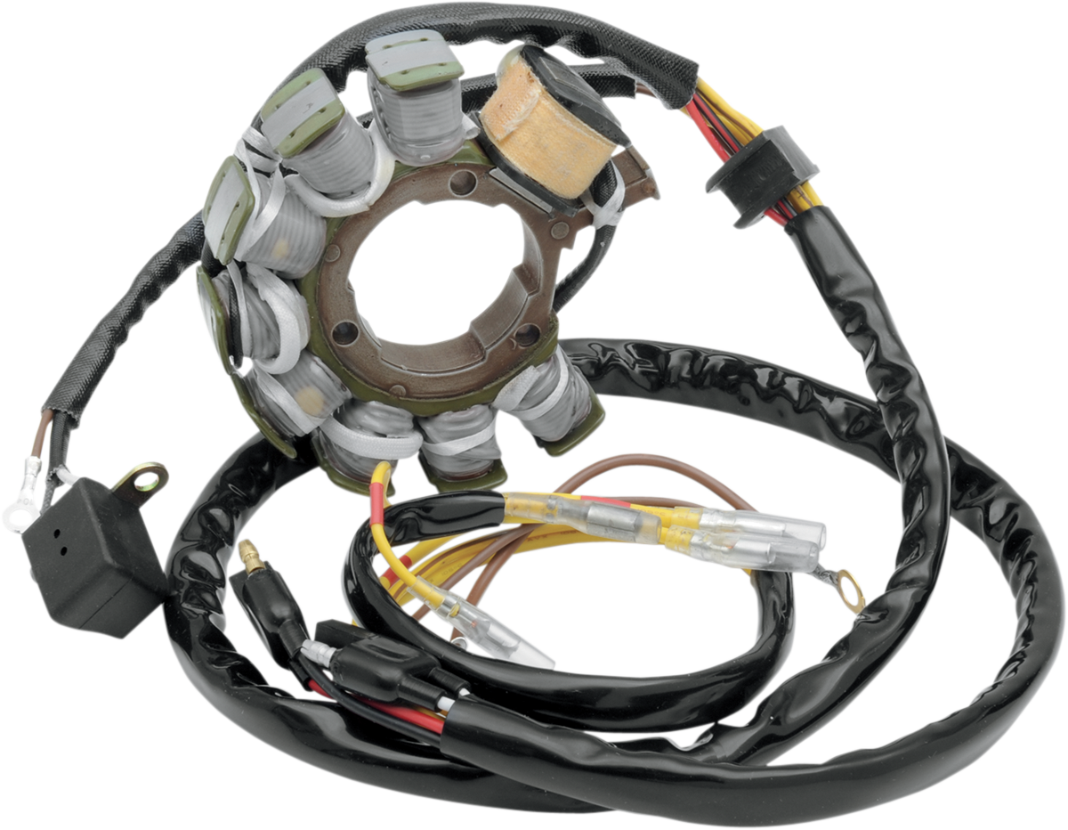 Rick's Motorsport Electric Stator