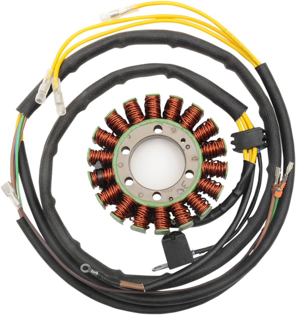 Rick's Motorsport Electric Stator