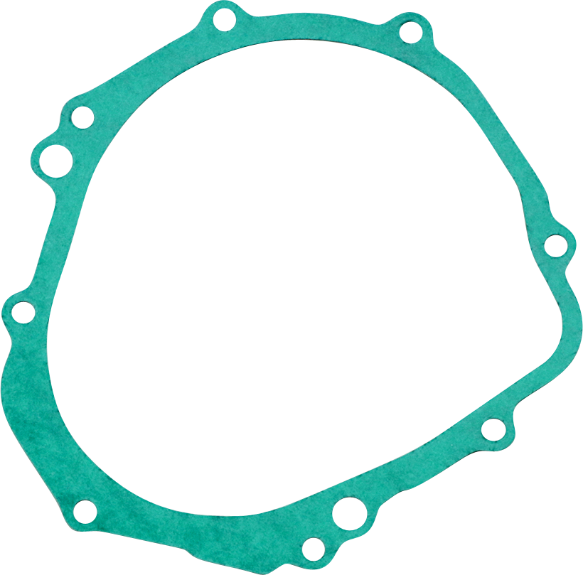 Rick's Motorsport Electric Stator Gasket