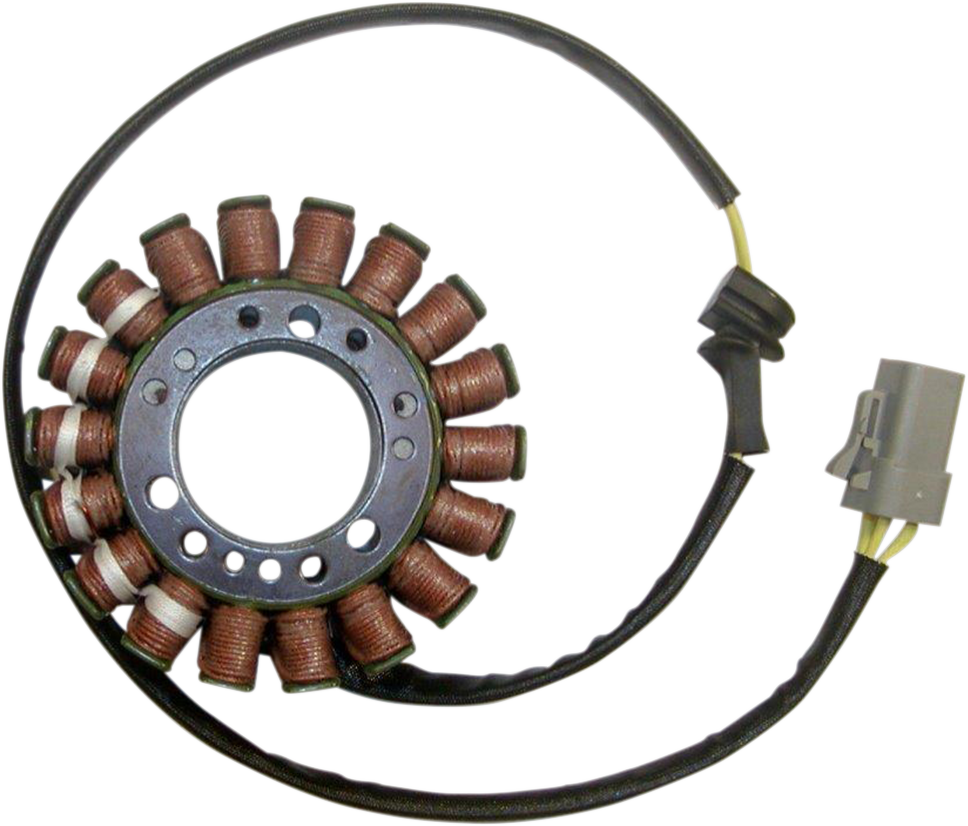 Rick's Motorsport Electric Stator