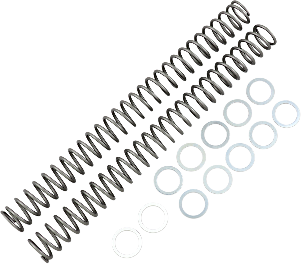 Race Tech Fork Springs