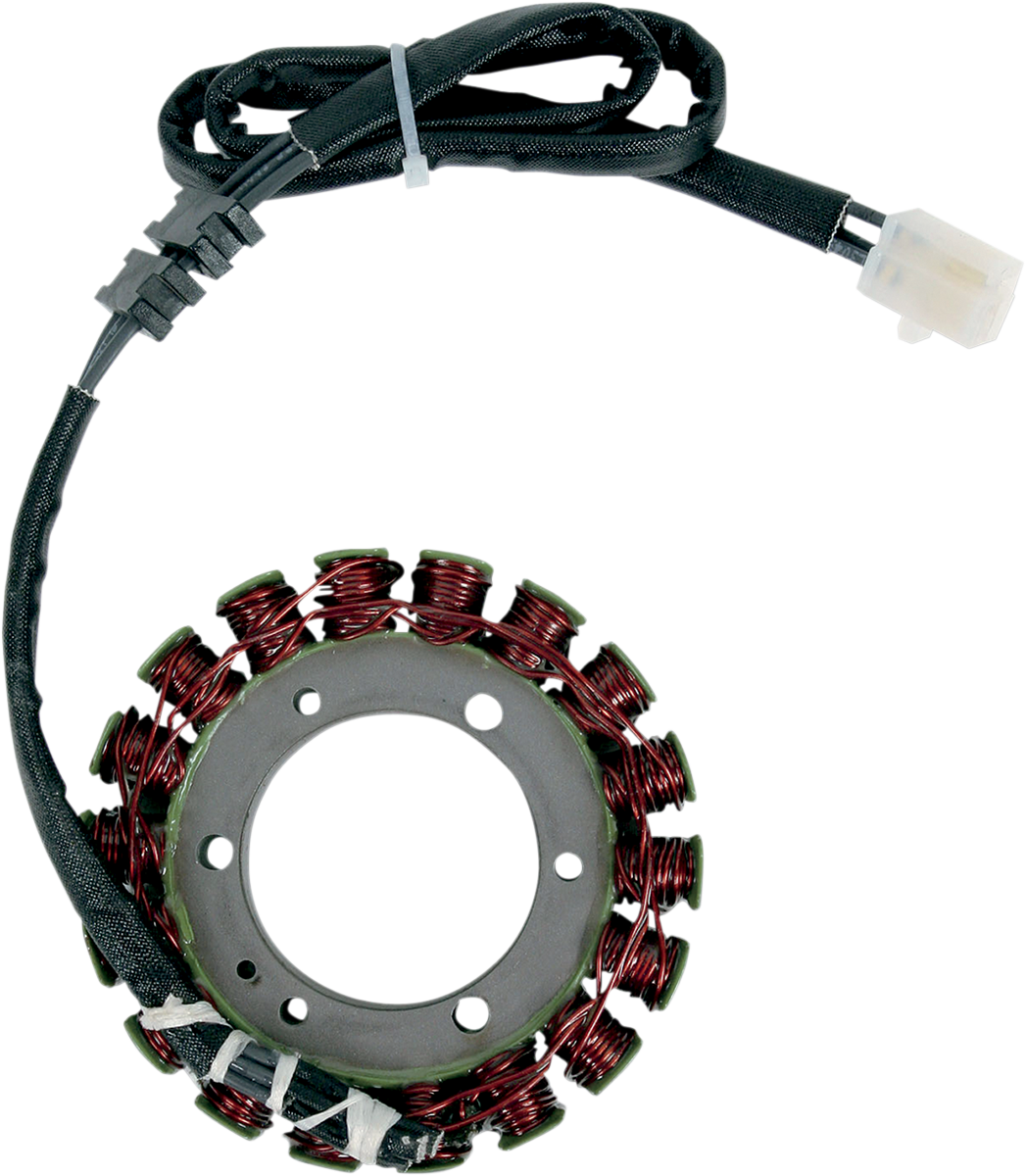 Rick's Motorsport Electric Stator