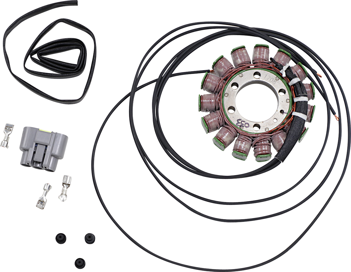 Rick's Motorsport Electric Stator