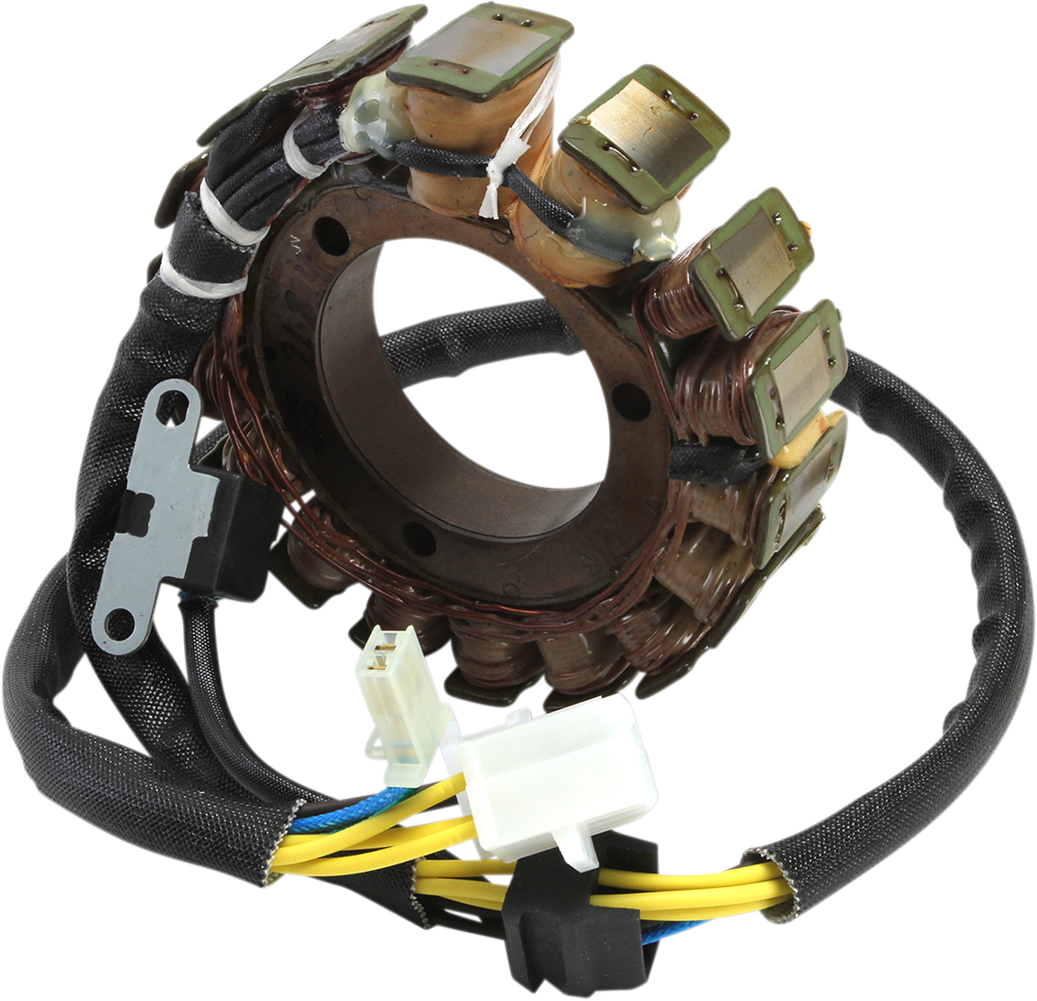 Rick's Motorsport Electric Stator