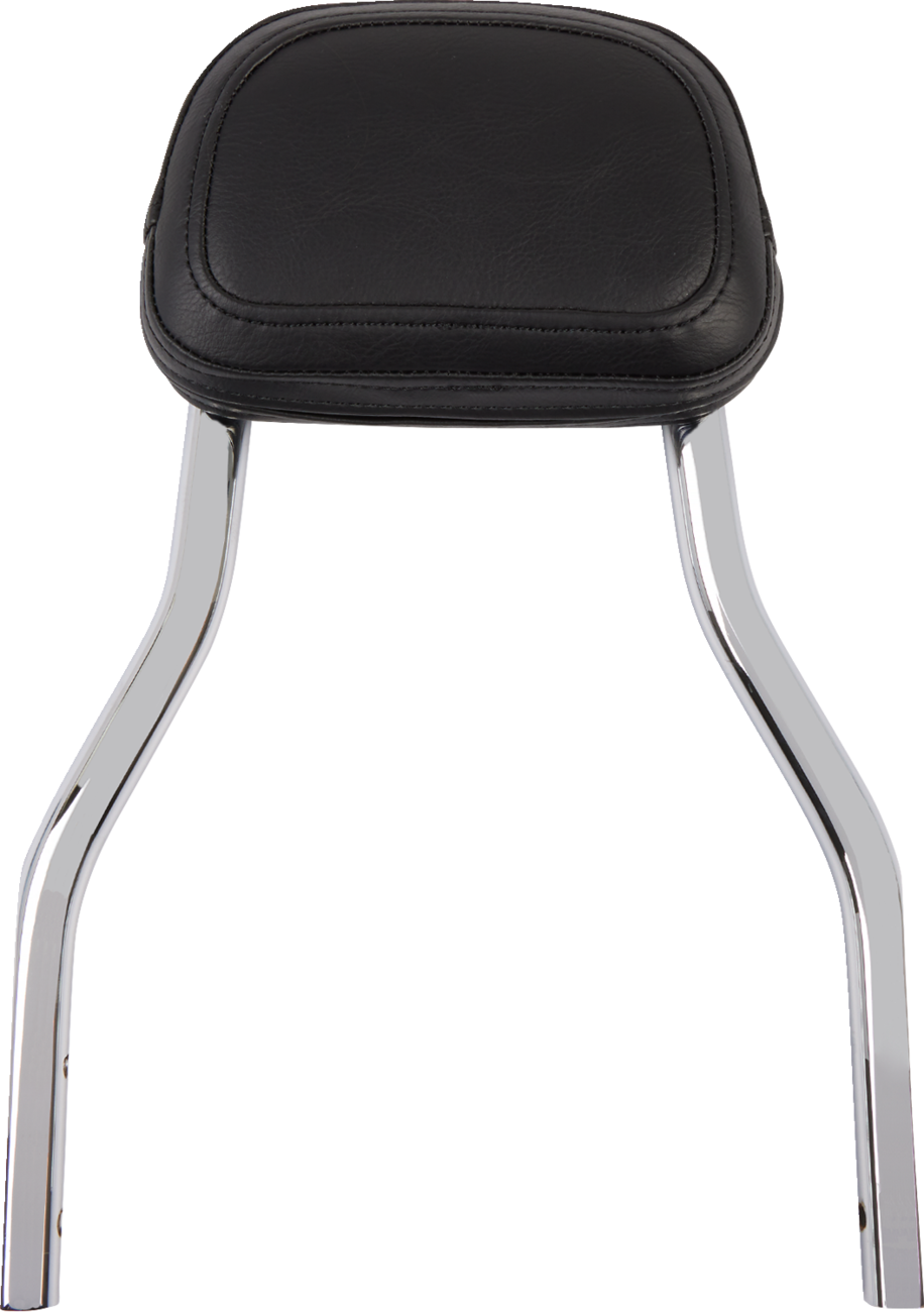 Cobra Backrest Kit