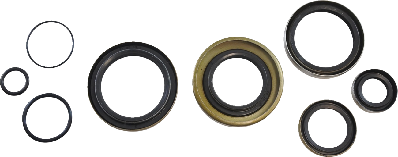 Vintco Oil Seal Kit