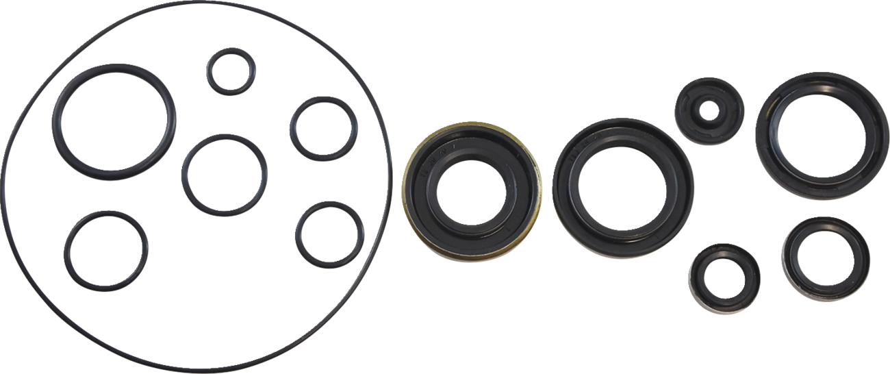 Vintco Oil Seal Kit