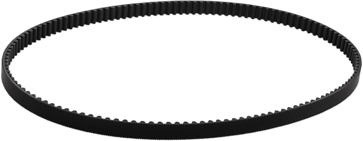 BELT DRIVES LTD. Rear Drive Belt