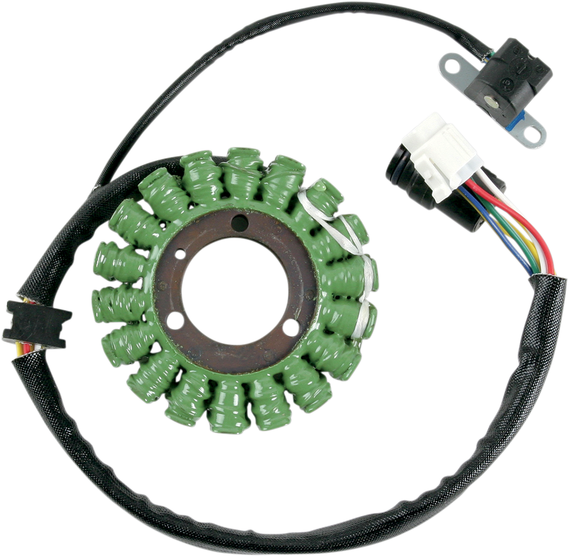 Rick's Motorsport Electric Stator