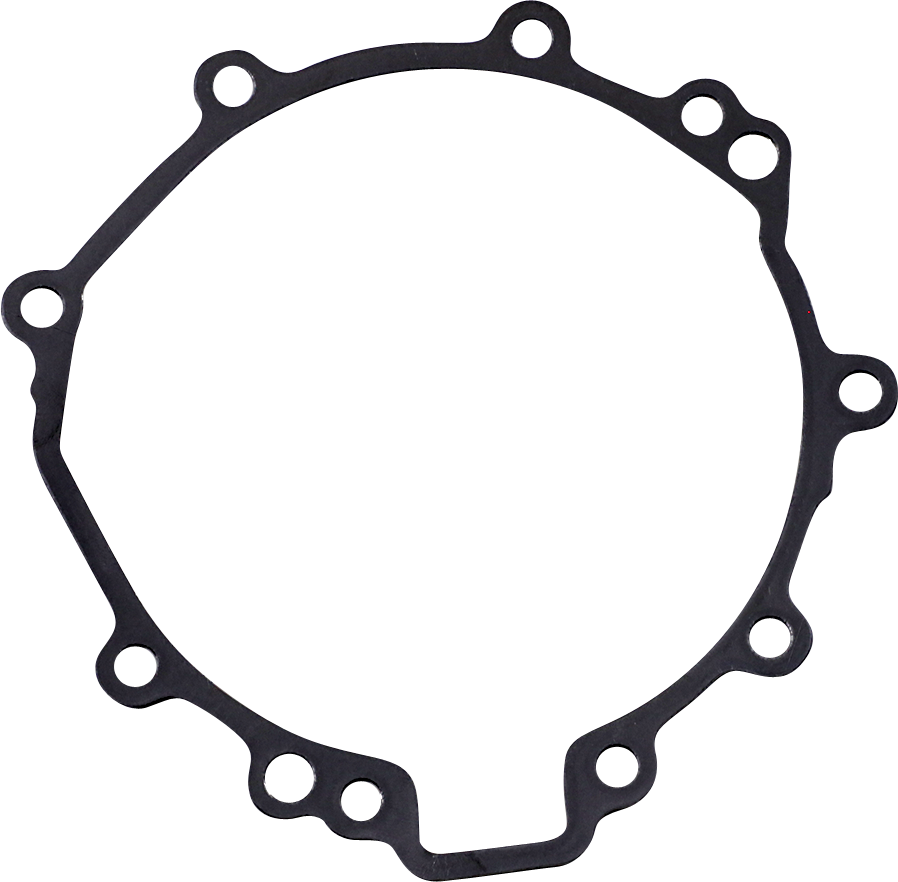 Rick's Motorsport Electric Stator Gasket