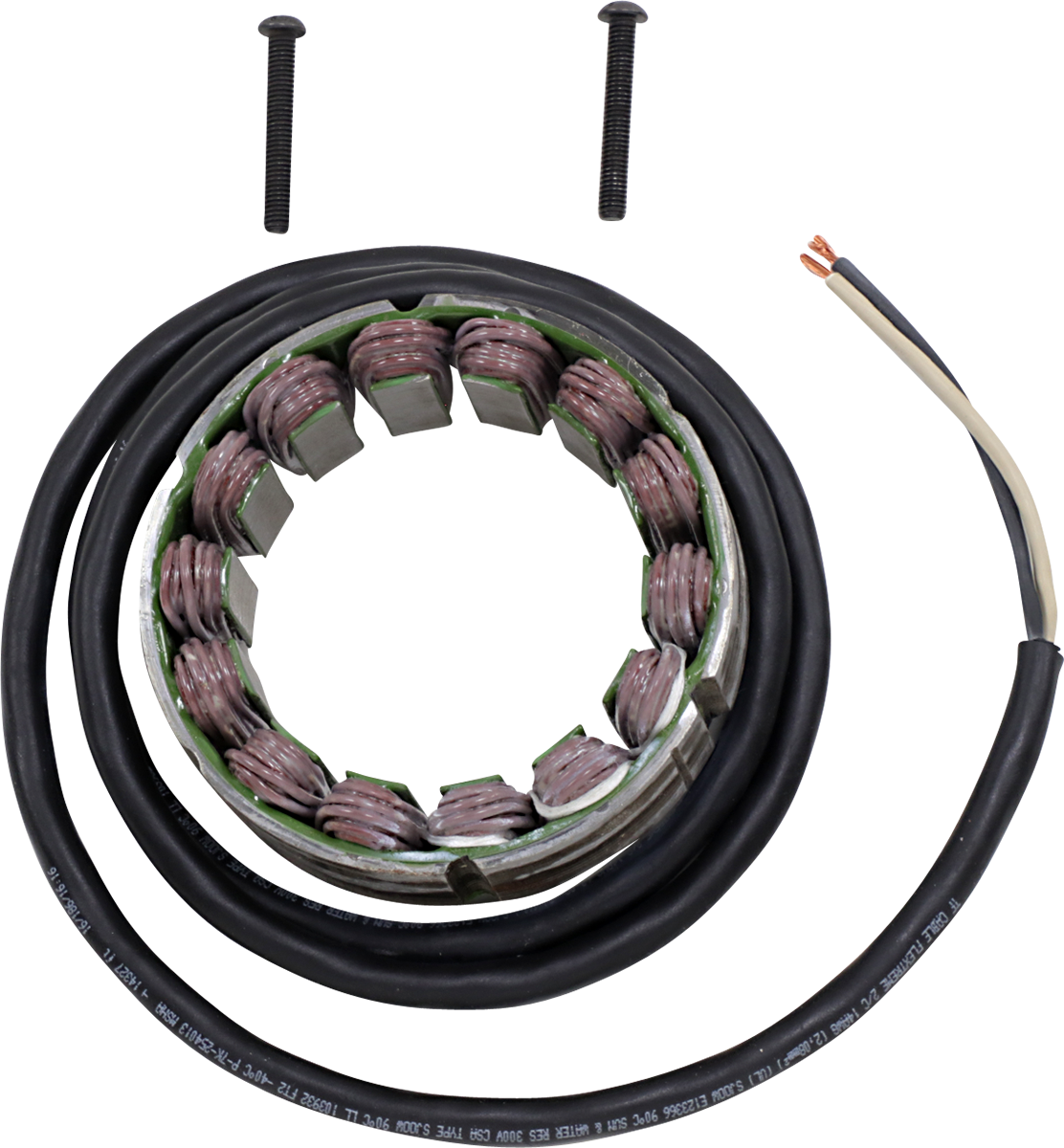 Rick's Motorsport Electric Stator