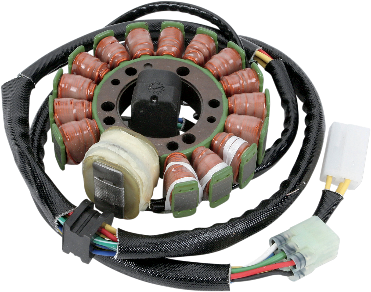 Rick's Motorsport Electric Stator