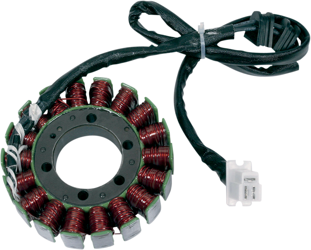 Rick's Motorsport Electric Stator