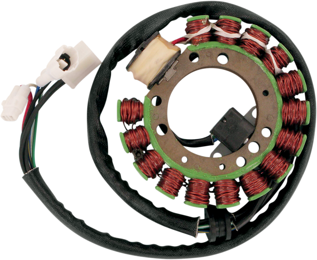 Rick's Motorsport Electric Stator