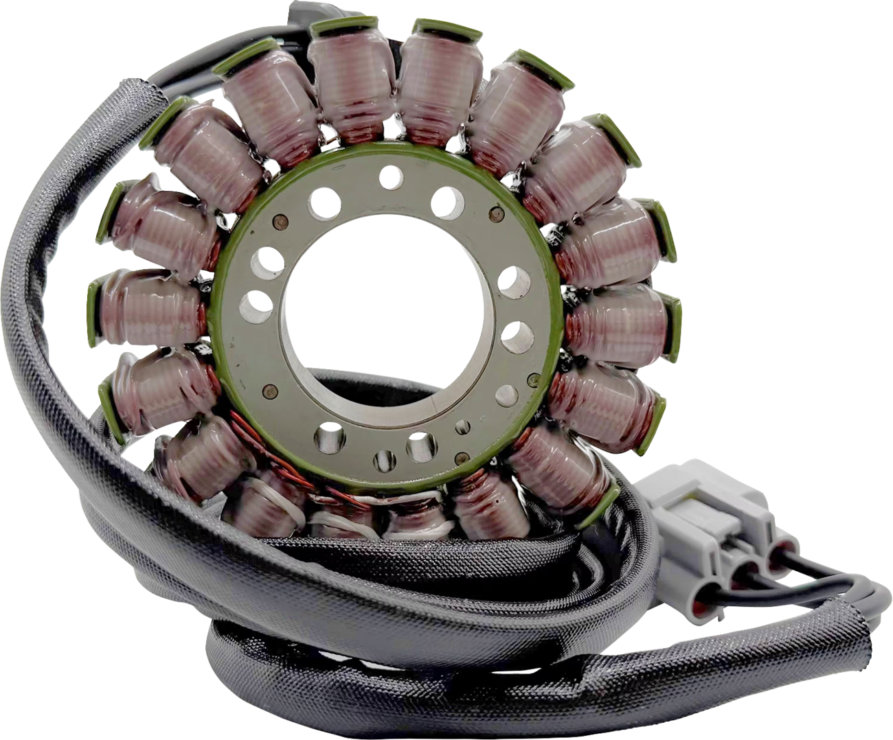 Rick's Motorsport Electric Stator