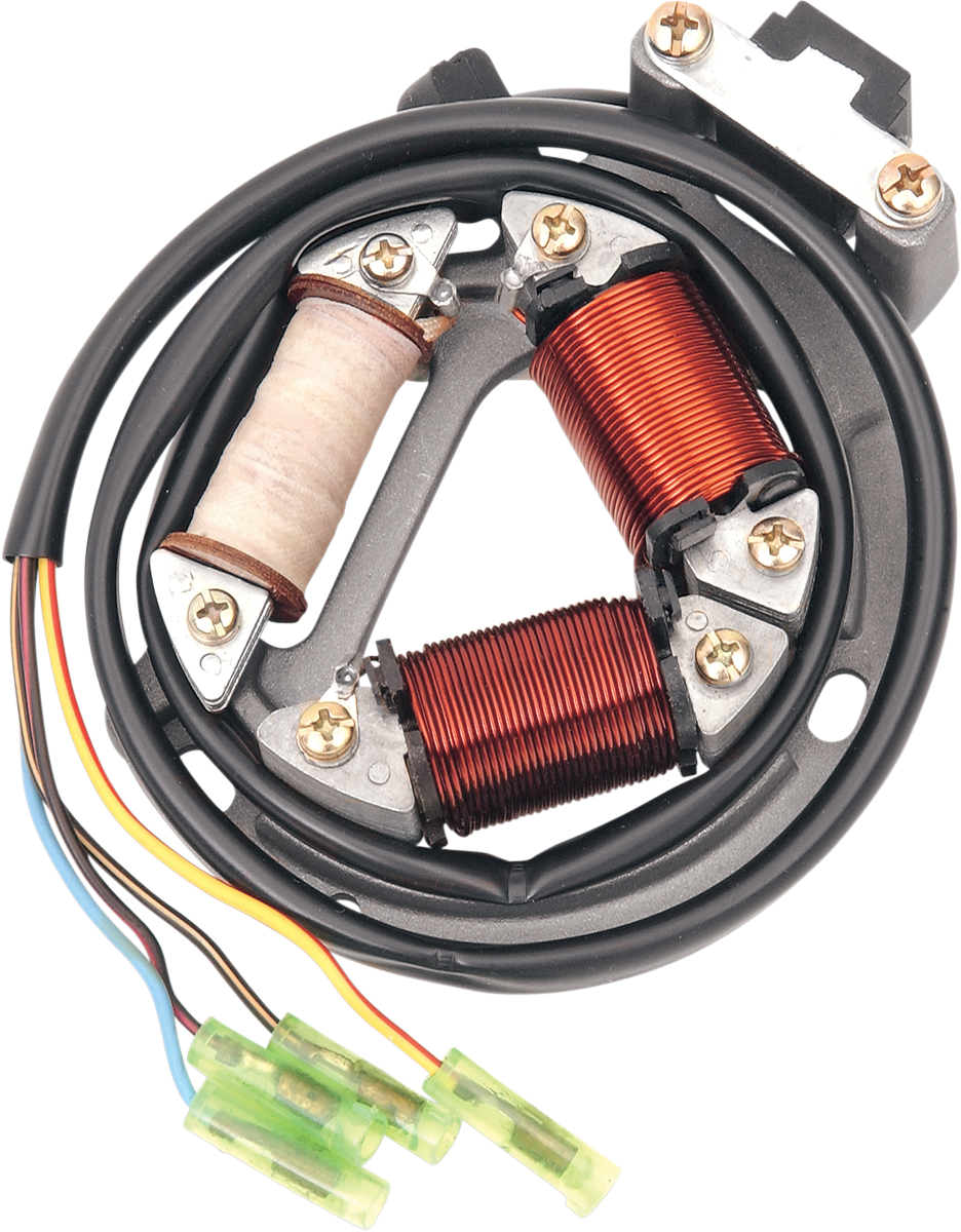Rick's Motorsport Electric Hot Shot Stator