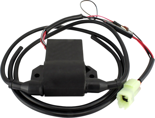 RM Stator CDI Box Ignition Module