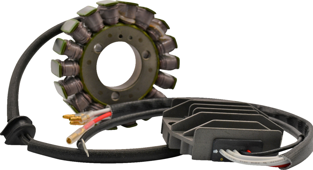 Rick's Motorsport Electric Lithium-Ion Charging Kit