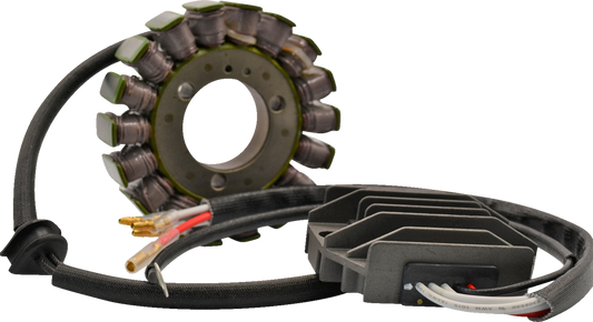 Rick's Motorsport Electric Lithium-Ion Charging Kit