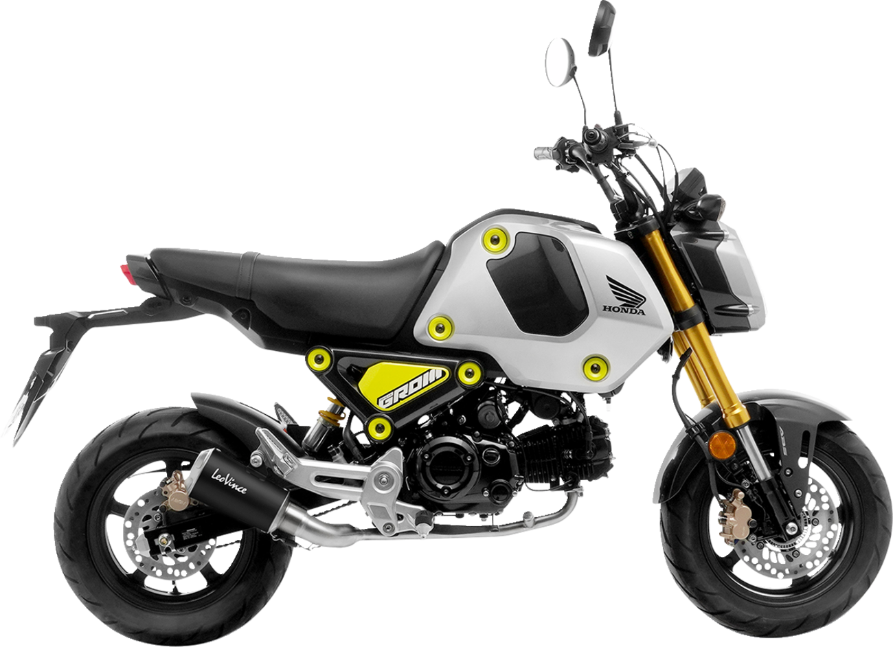 Leovince LV-10 Exhaust