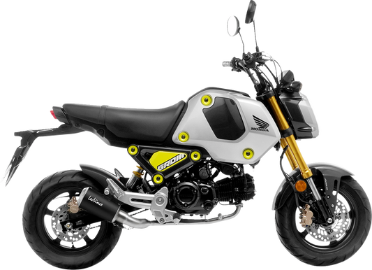 Leovince LV-10 Exhaust