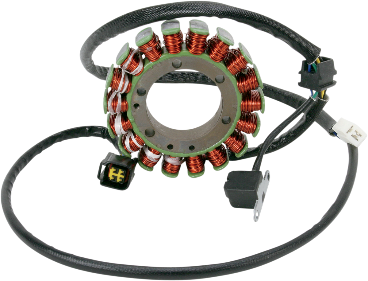 Rick's Motorsport Electric Stator
