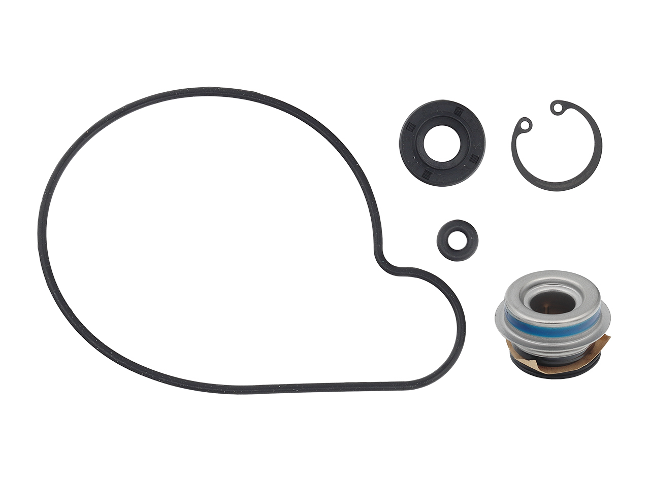 SP1 Water Pump Repair Kit