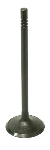 Namura Intake Valve