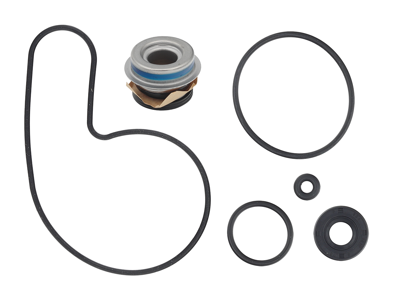 SP1 Water Pump Repair Kit