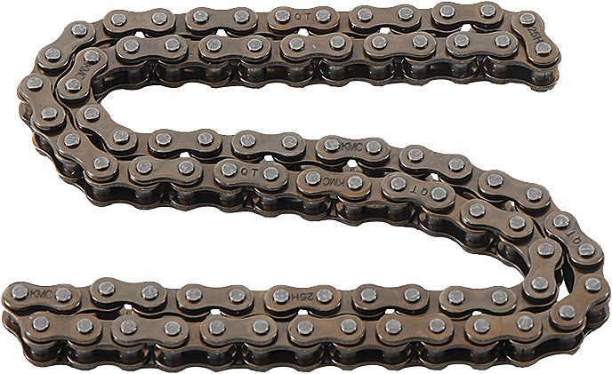 HOT CAMS Cam Chain