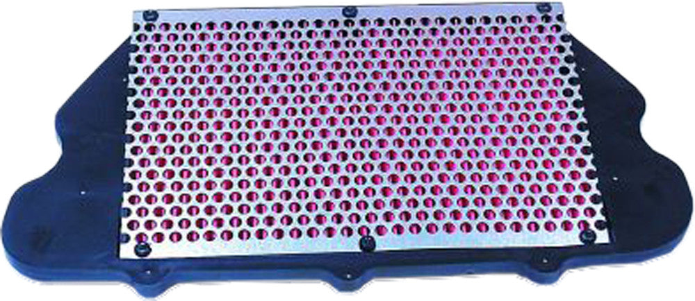 HIFLOFILTRO Air Filter
