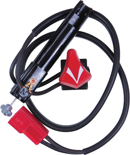 SP1 Kill Switch