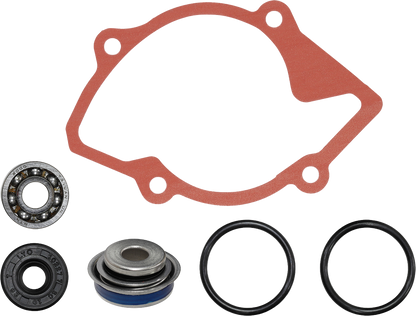 SP1 Water Pump Repair Kit
