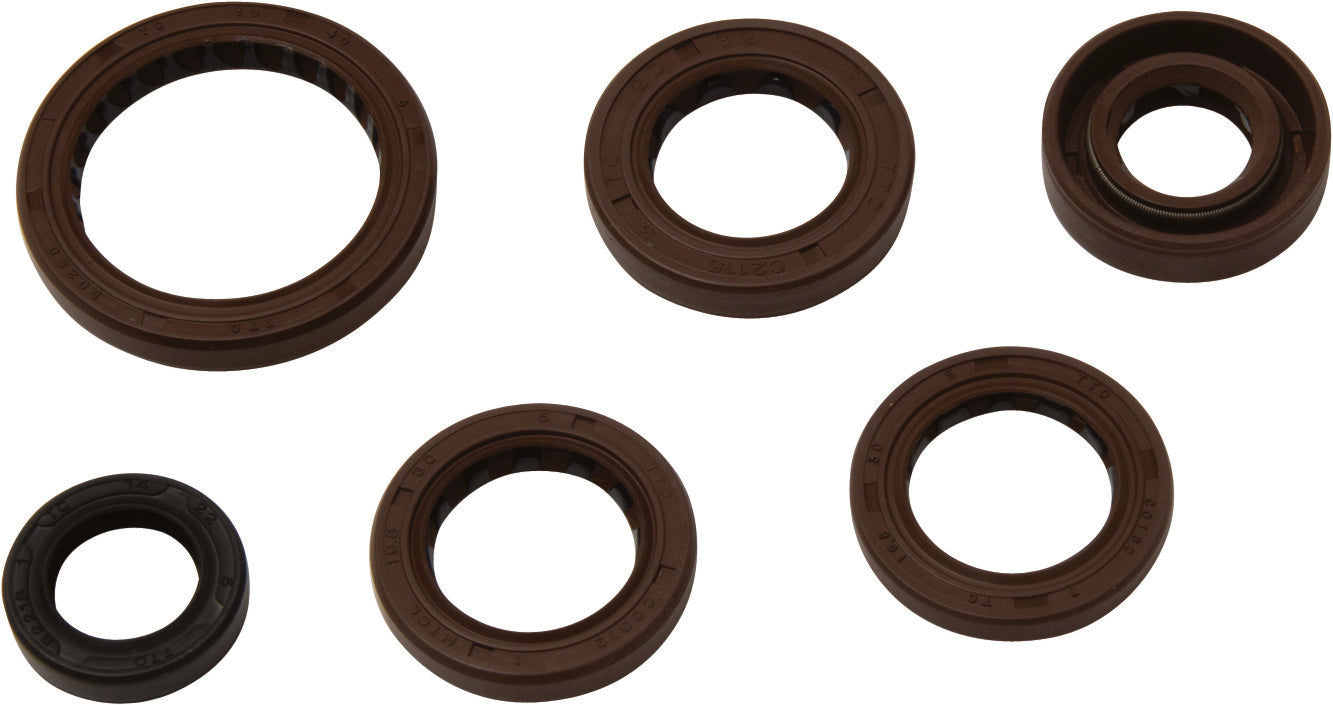 VERTEX Oil Seal Kit
