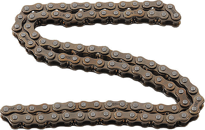HOT CAMS Cam Chain