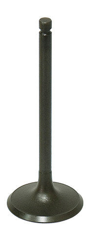 Namura Intake Valve