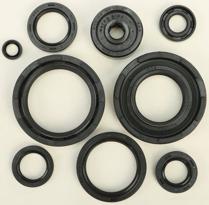 VERTEX Oil Seal Kit