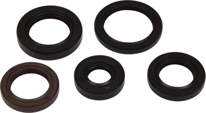 VERTEX Oil Seal Set