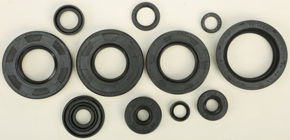 VERTEX Oil Seal Kit