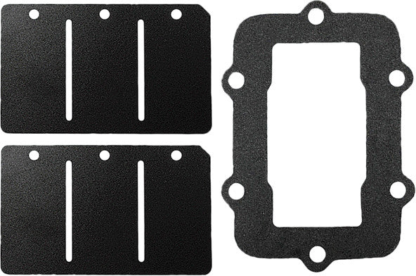 SP1 Reed Valve Rebuild Kit