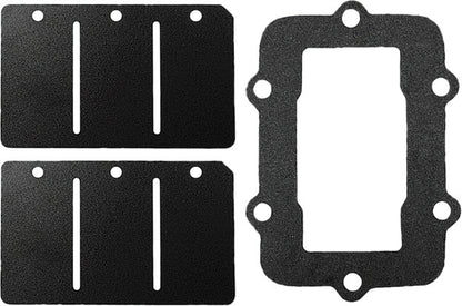 SP1 Reed Valve Rebuild Kit