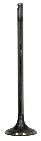 Namura Intake Valve