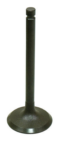 Namura Exhaust Valve