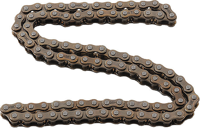 HOT CAMS Cam Chain