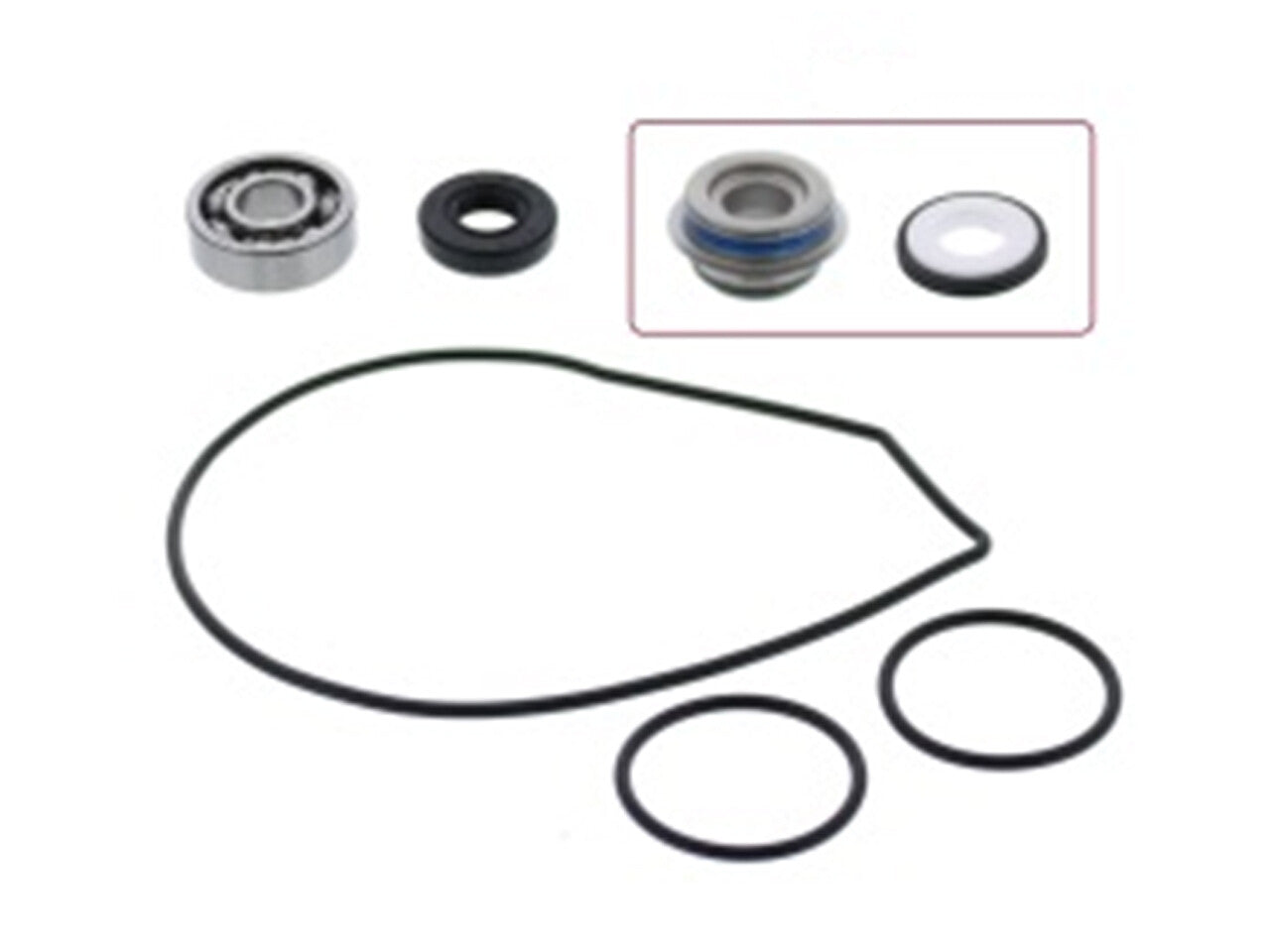 SP1 Water Pump Repair Kit