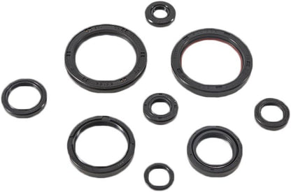 VERTEX Oil Seal Kit